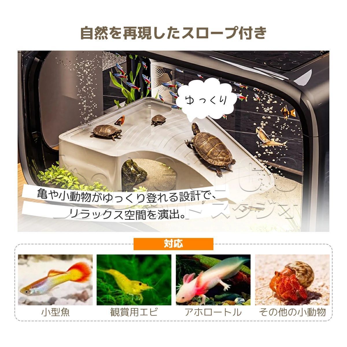 水槽セット 金魚鉢 淡水 海水 両用 水槽 飼育セット 透明