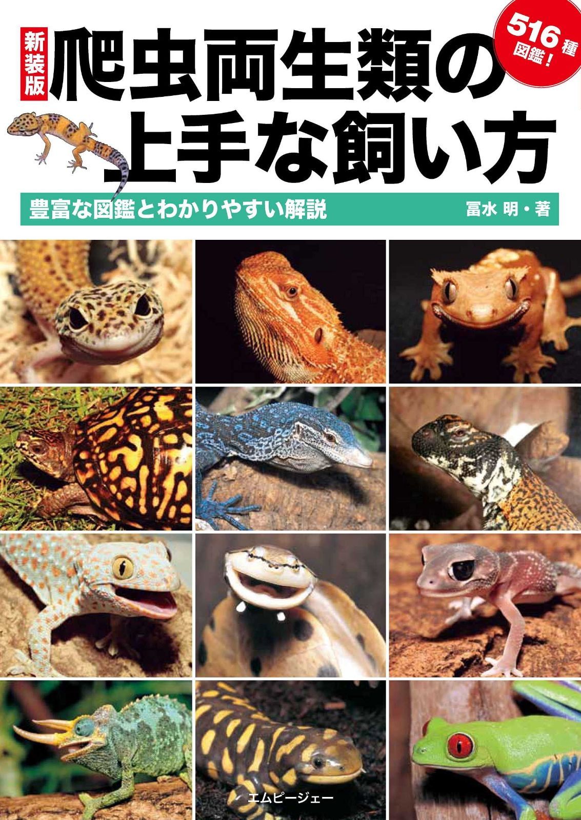 爬虫両生類の上手な飼い方 (アクアライフの本)