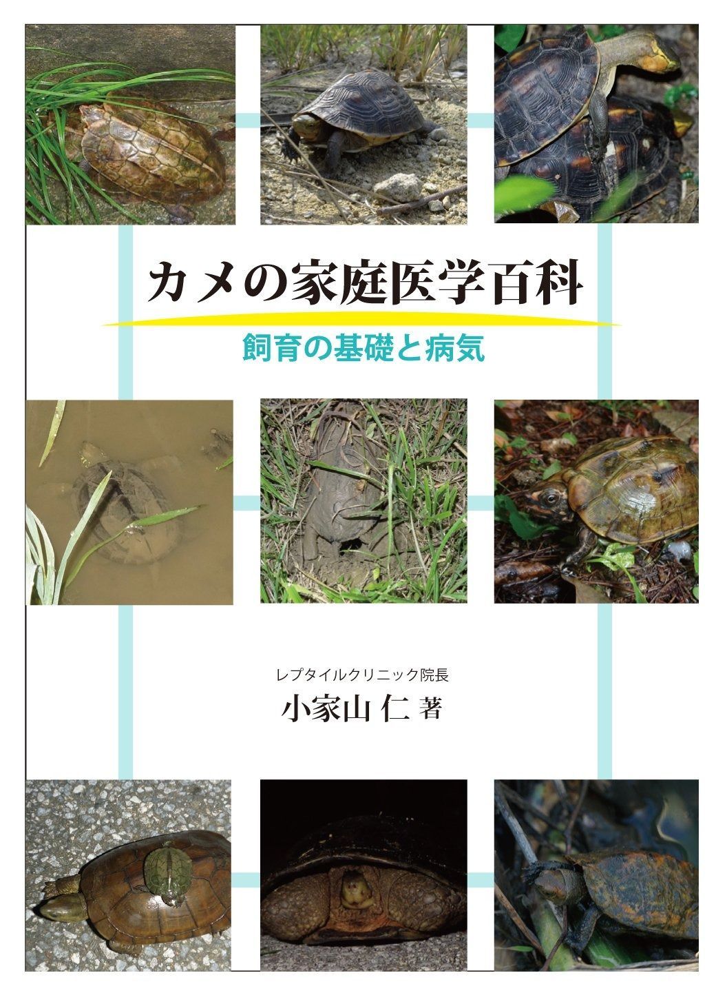 カメの家庭医学百科: 飼育の基礎と病気