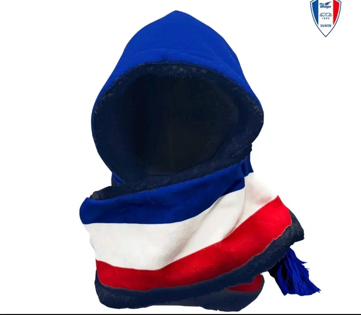 水原三星ブルーウィングス