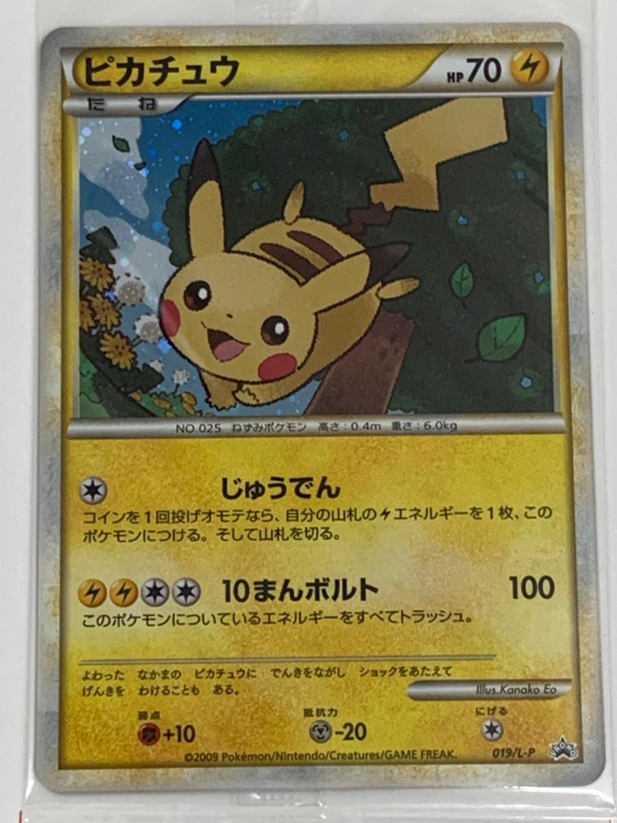 ポケモンだいすきクラブカード PCGアクションポイントプレゼント