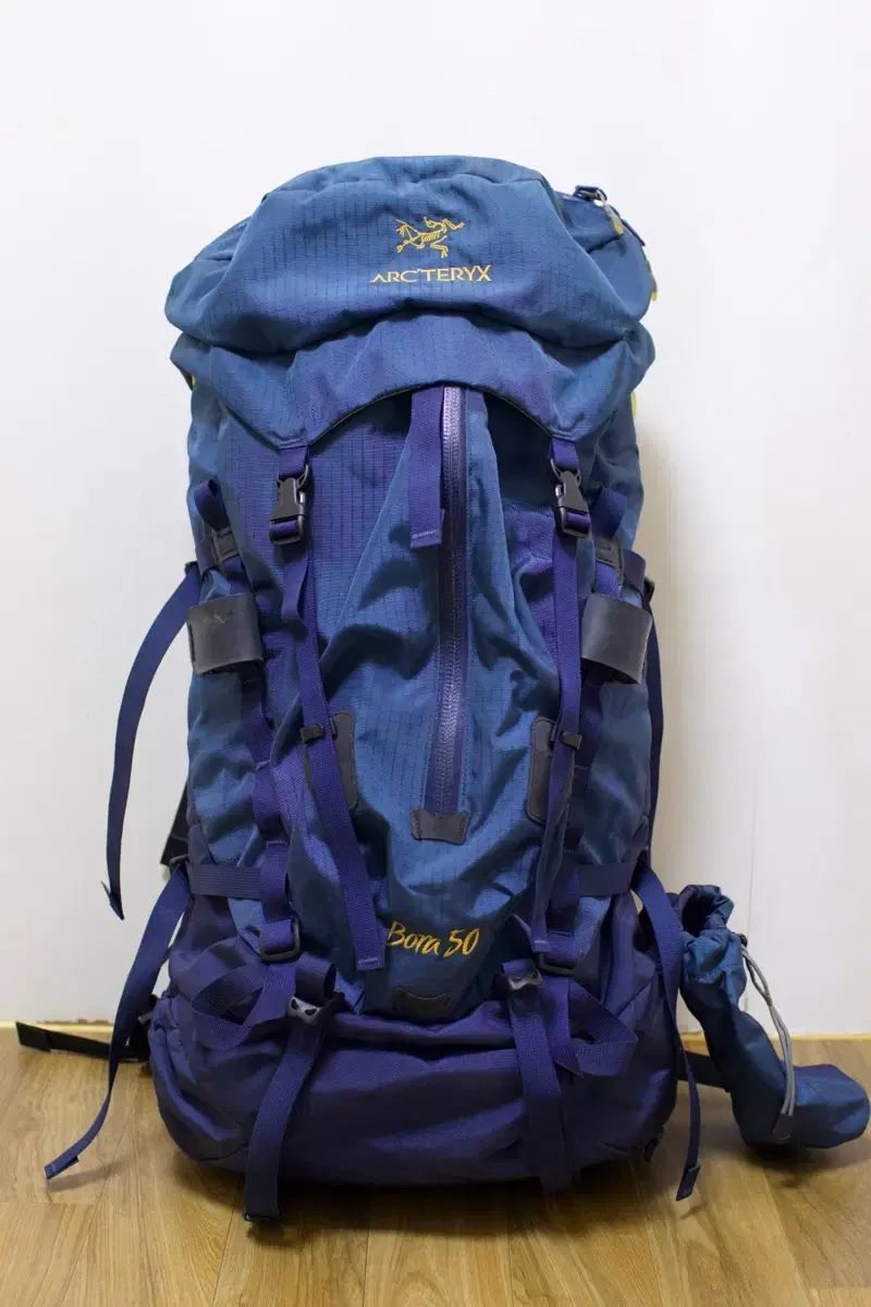 ARC TERYX アークテリクス パープル 50 み