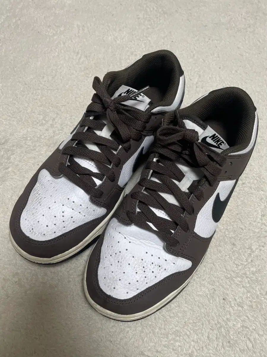 ナイキ ダンク ロー ブラウン 255