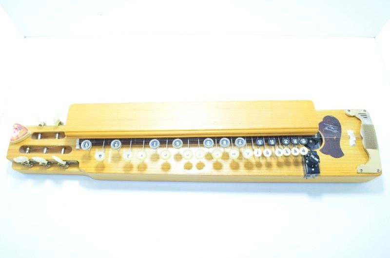 送料無料】 琴伝流 KOTODENRYU 菊八重 大正琴 本体 ケース付き - メルカリ