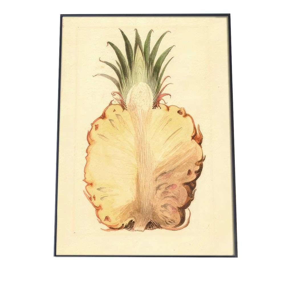 パイナップルページ B3サイズ（約36x51cm）】【bn-poster-465】パイナップル パイン 黄色