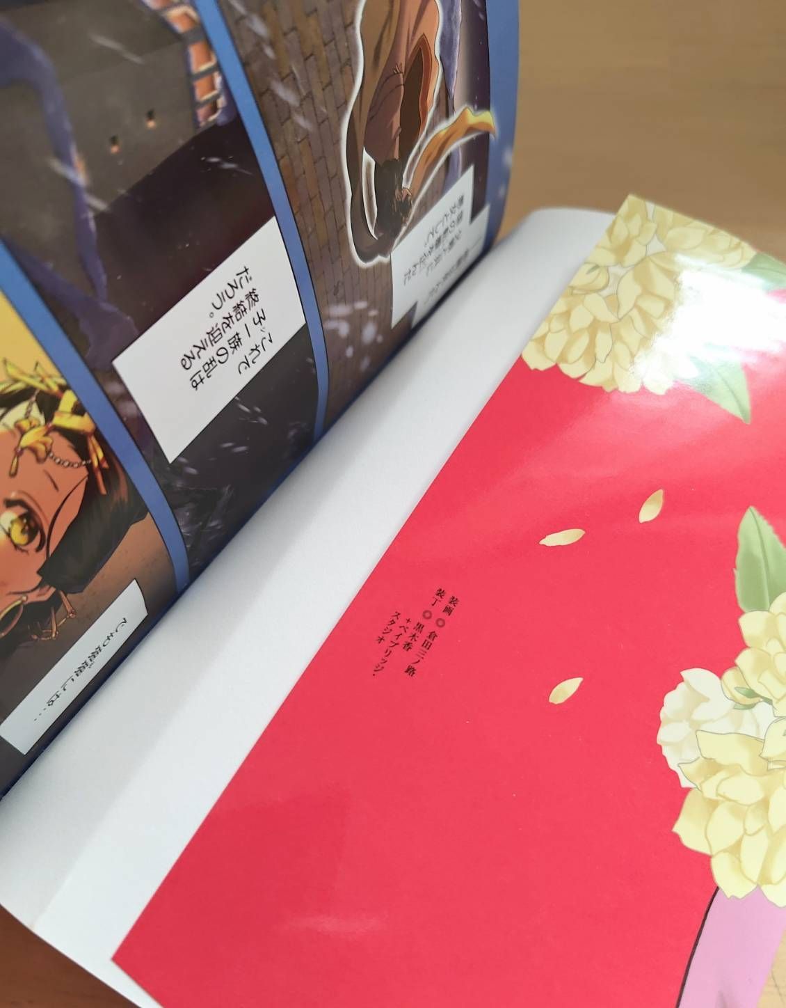 薬屋のひとりごと 猫猫の後宮謎解き手帳 1〜20巻 全巻セット - メルカリ