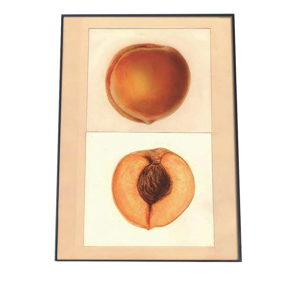 掛け軸 大徳寺派 吉祥寺 月出明月秋 辻常閑 差月布袋画讃 画奥田廣尚