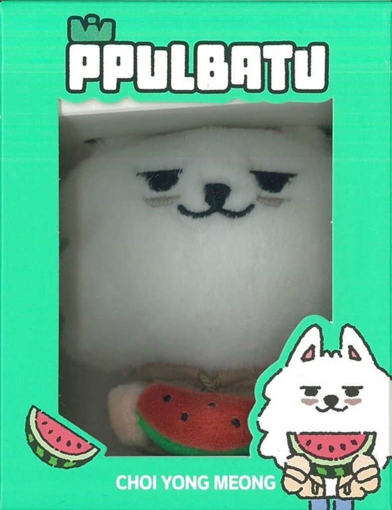 TXT 2025 PPULBATU SUMMER TOGETHER OFFICIAL MERCHANDISE SOOBIN