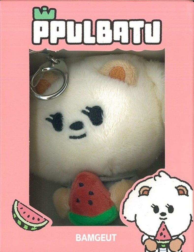 TXT 2025 PPULBATU SUMMER TOGETHER OFFICIAL MERCHANDISE BEOMGYU