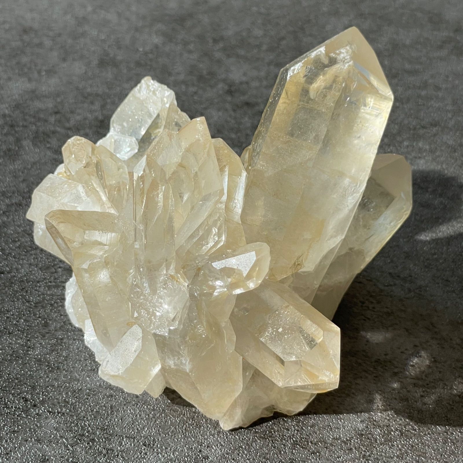 ブラジル ミナスジェライス州 ゼッカデソーザ産♦︎Golden Healer