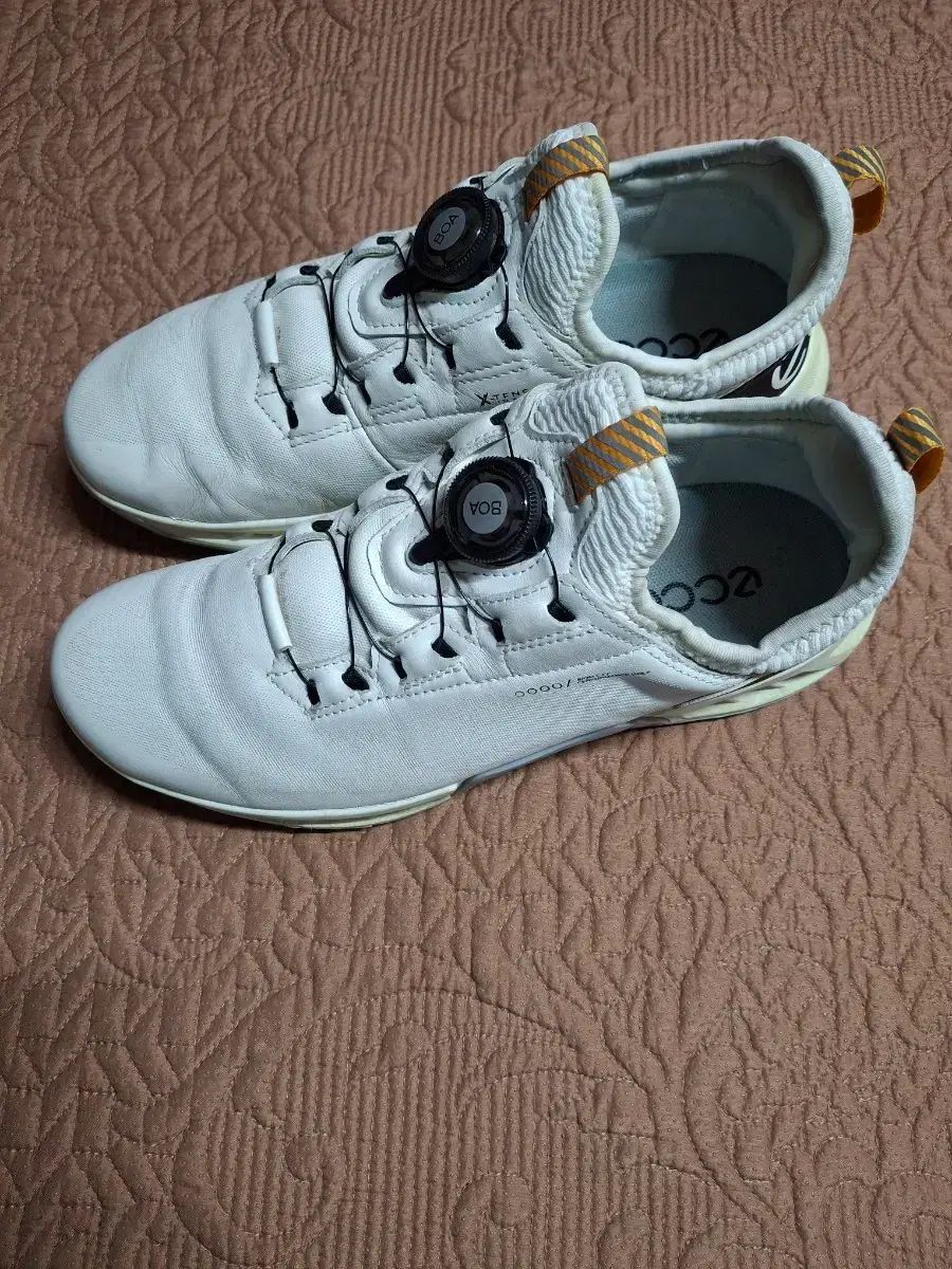 265 エコー C 4 ボア ゴルフシューズ 1093