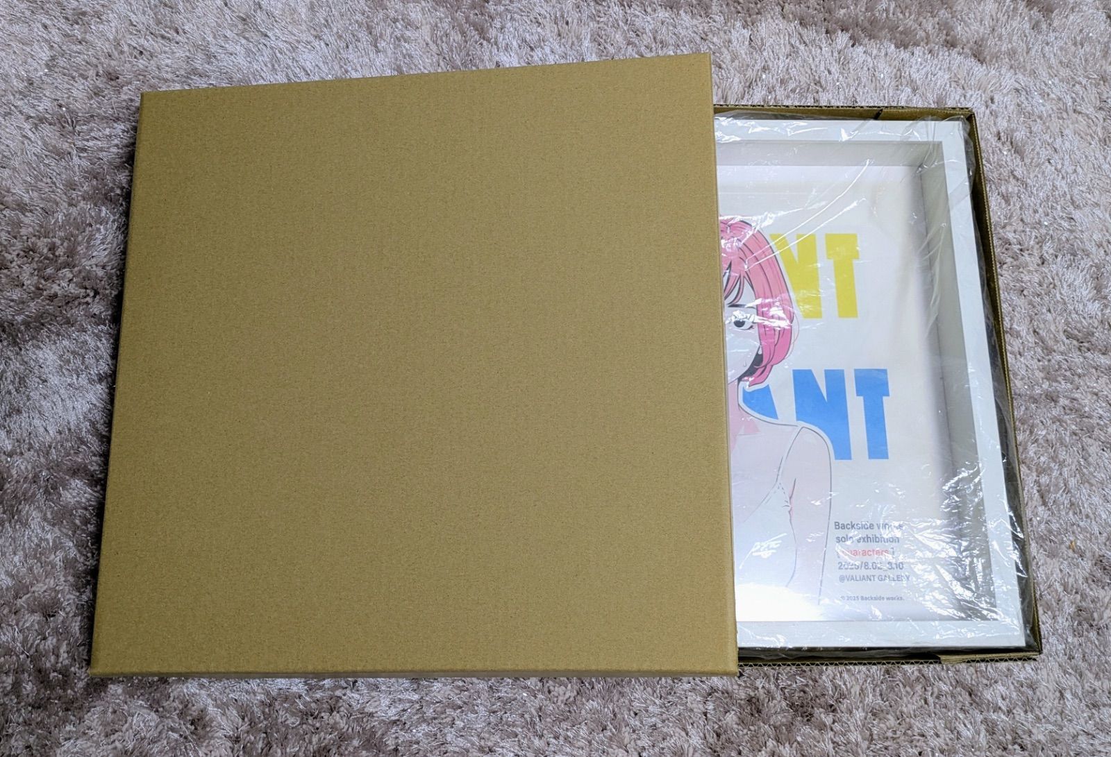 Backside works ポスター サイン入『characters』Valiant Girl 人気