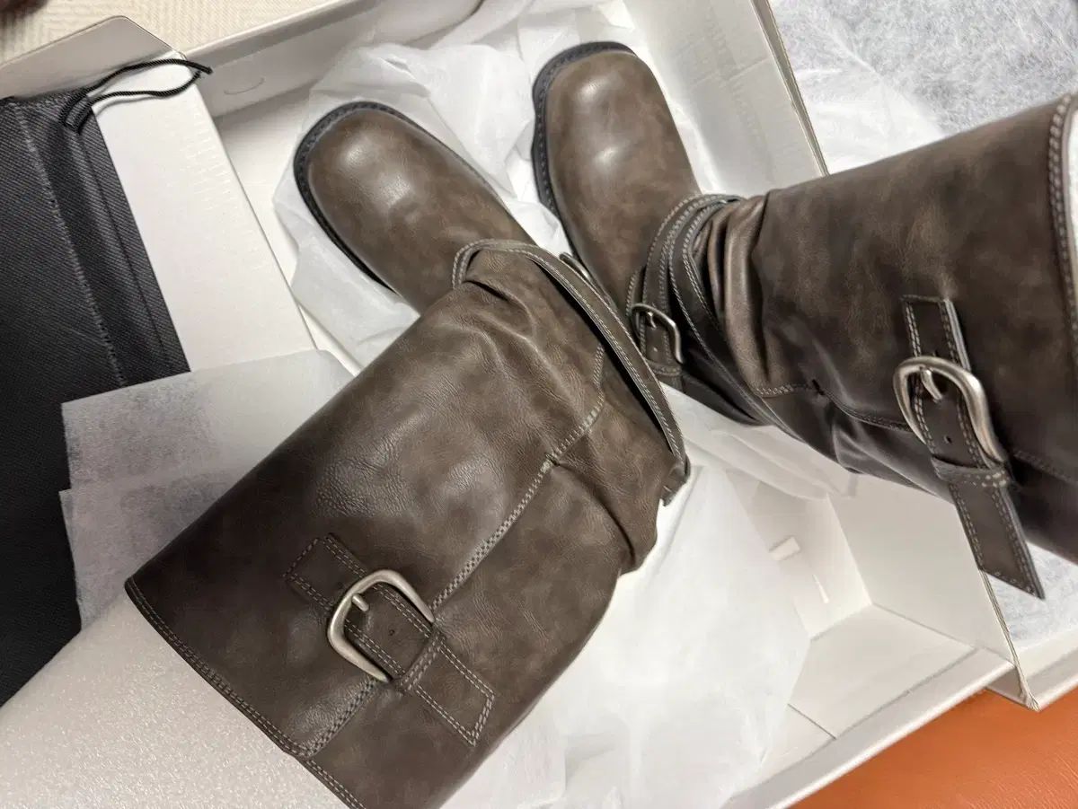 レイブン ポールダブル