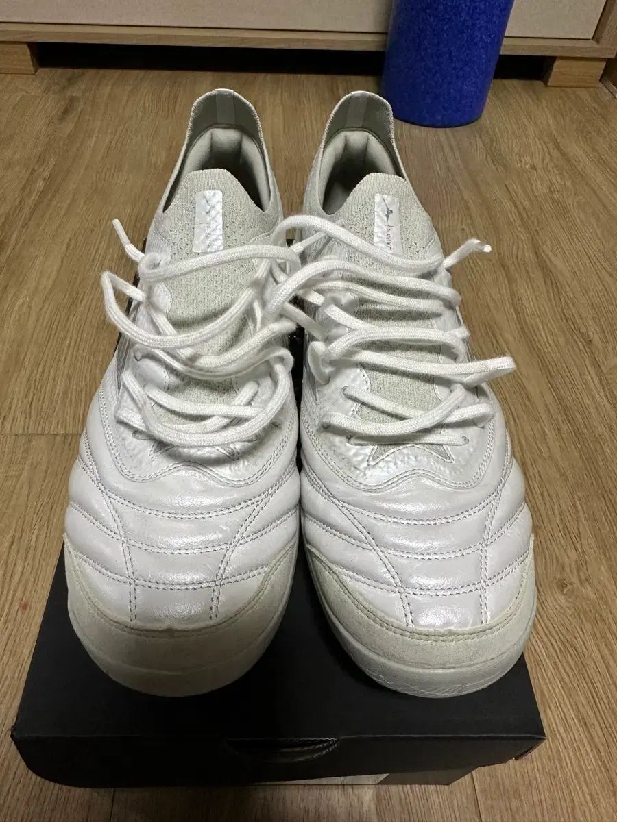 ミズノ モレリア サラ ベータ TF 270 サイズ サッカーシューズ