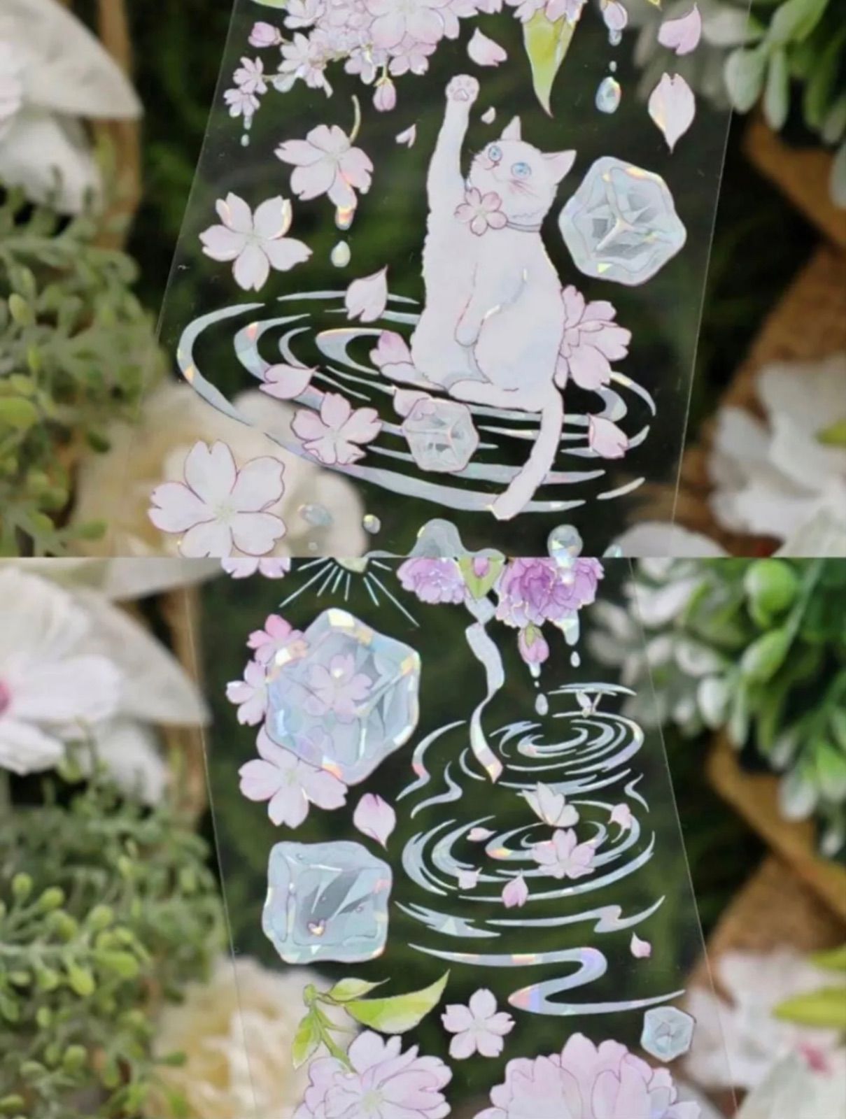 ♡SALE♡ 贝壳光 櫻花薄荷冰 6cm×10m 100cm/loop 海外マスキングテープ