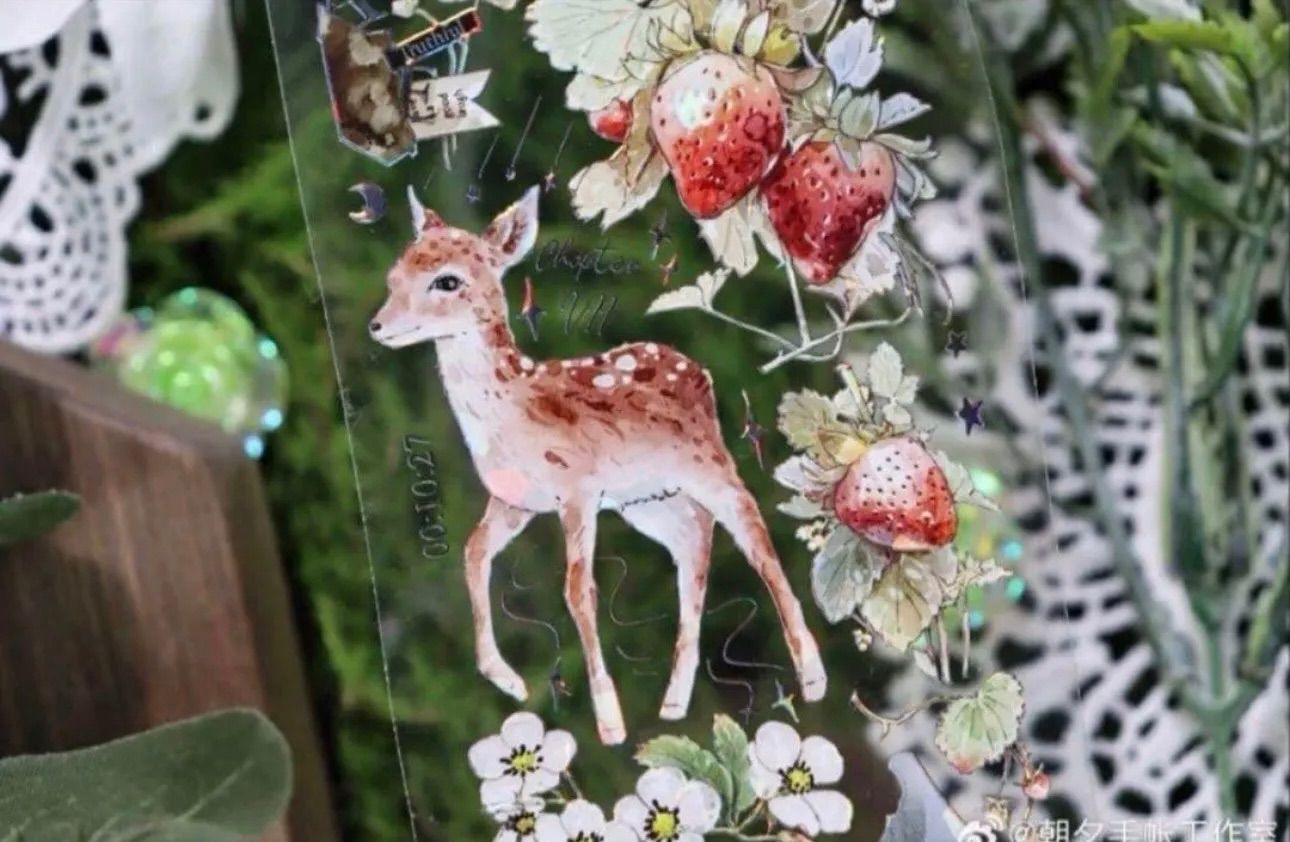 ♡SALE♡ 贝壳光 6cm×10m 草莓园 海外マスキングテープ 海外マステ