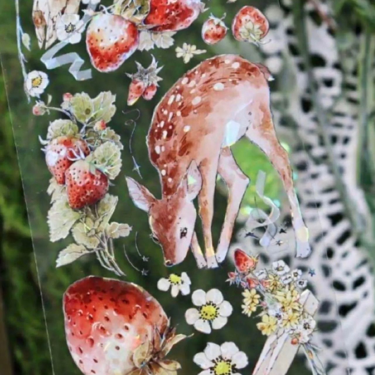 ♡SALE♡ 贝壳光 6cm×10m 草莓园 海外マスキングテープ 海外マステ