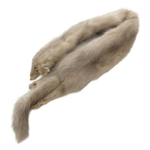 ミンクファー ティペット 毛皮 顔付き 尻尾付き グレージュ /UO - メルカリ