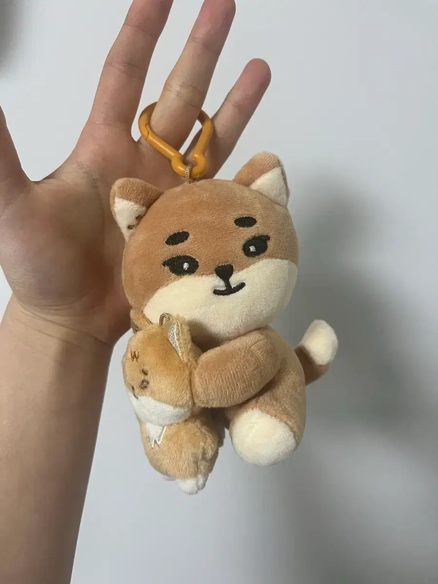 DAY6（デイシックス）ファンミーティング グッズ MD ナアアンア ケ