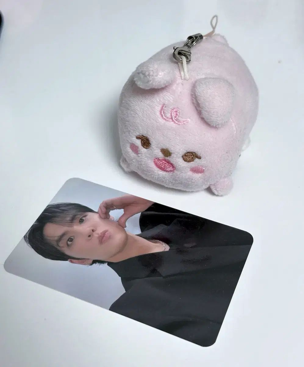 プチマルズ フィルの四足歩行ぬいぐるみ DAY6(デイシックス