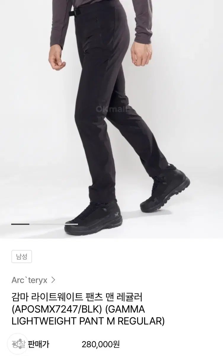 ARC TERYX アークテリクス GAMMA ガンマ ライトウェイト パンツ マン レギュラー 34 ブラック