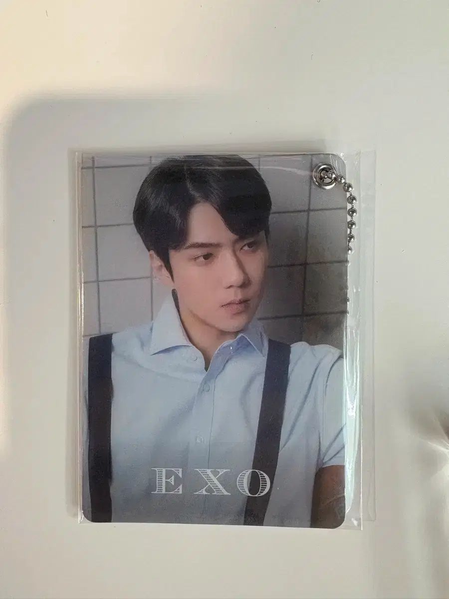 EXO 2020 シーグリ 特典 セフン(SEHUN) トレカホルダー カード