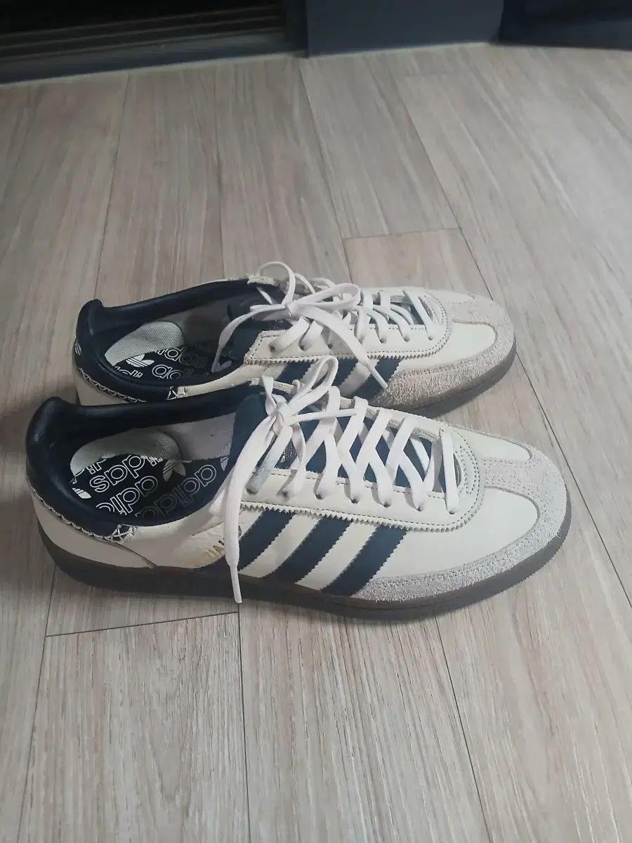 スペツィアル W