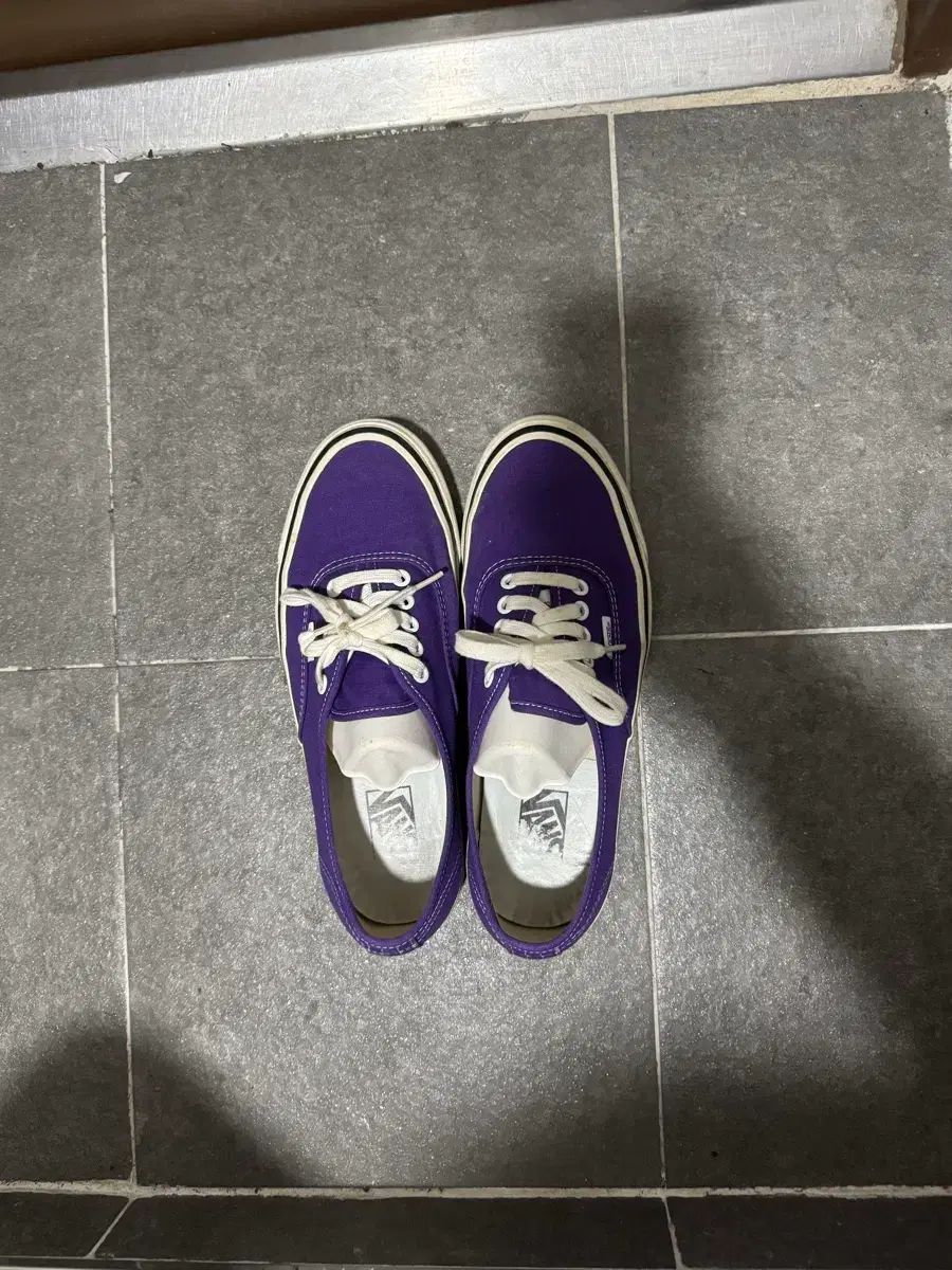 VANS アセンティック PURPLE