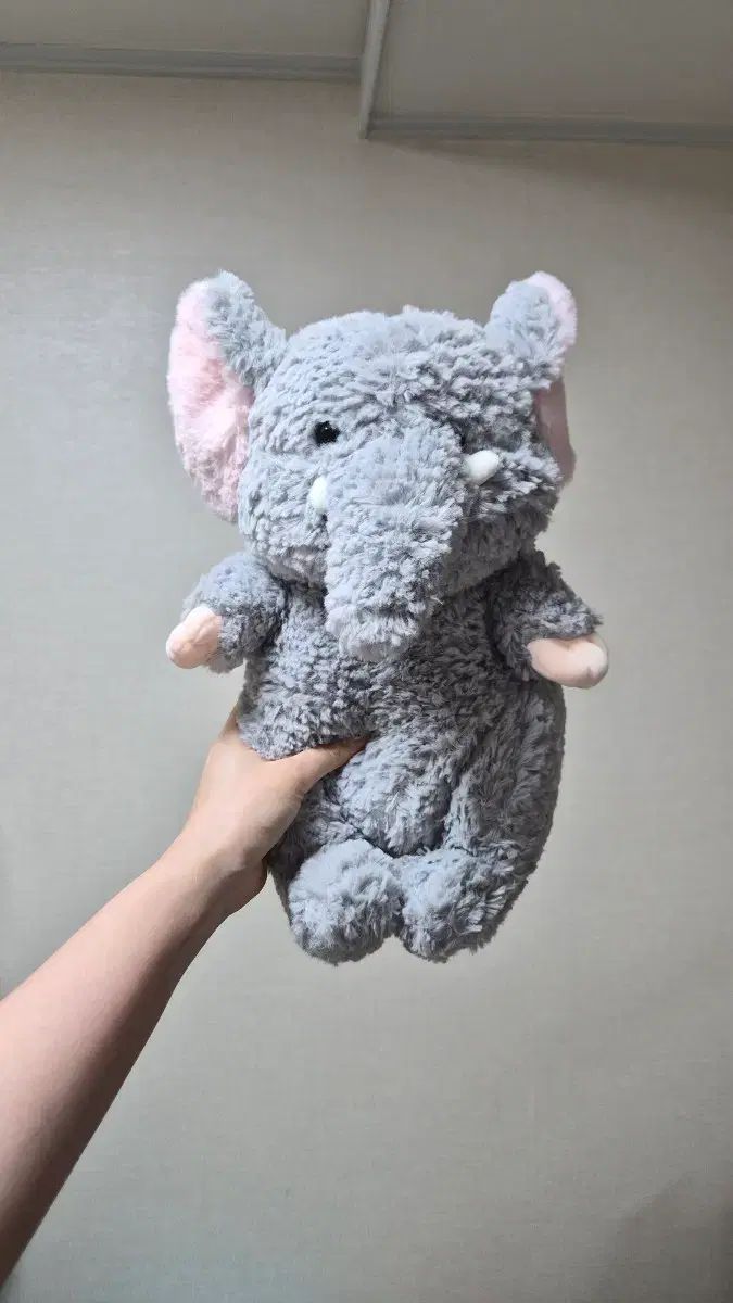 アウトレット 初期伊万里 愛玩 初期伊万里 新谷政彦 定価15000円 古本 希少