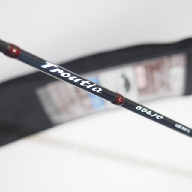 強い波動を持つ古代ソマチッド入りペンダント 八角形 レザーチェーン 2