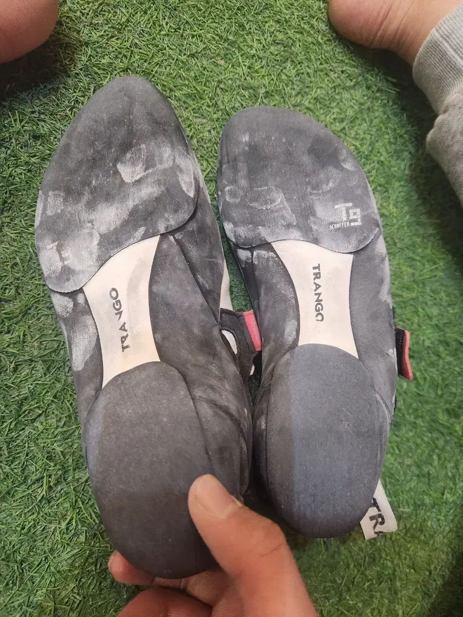 トラゴンクライミング 上級 팝 ポップ