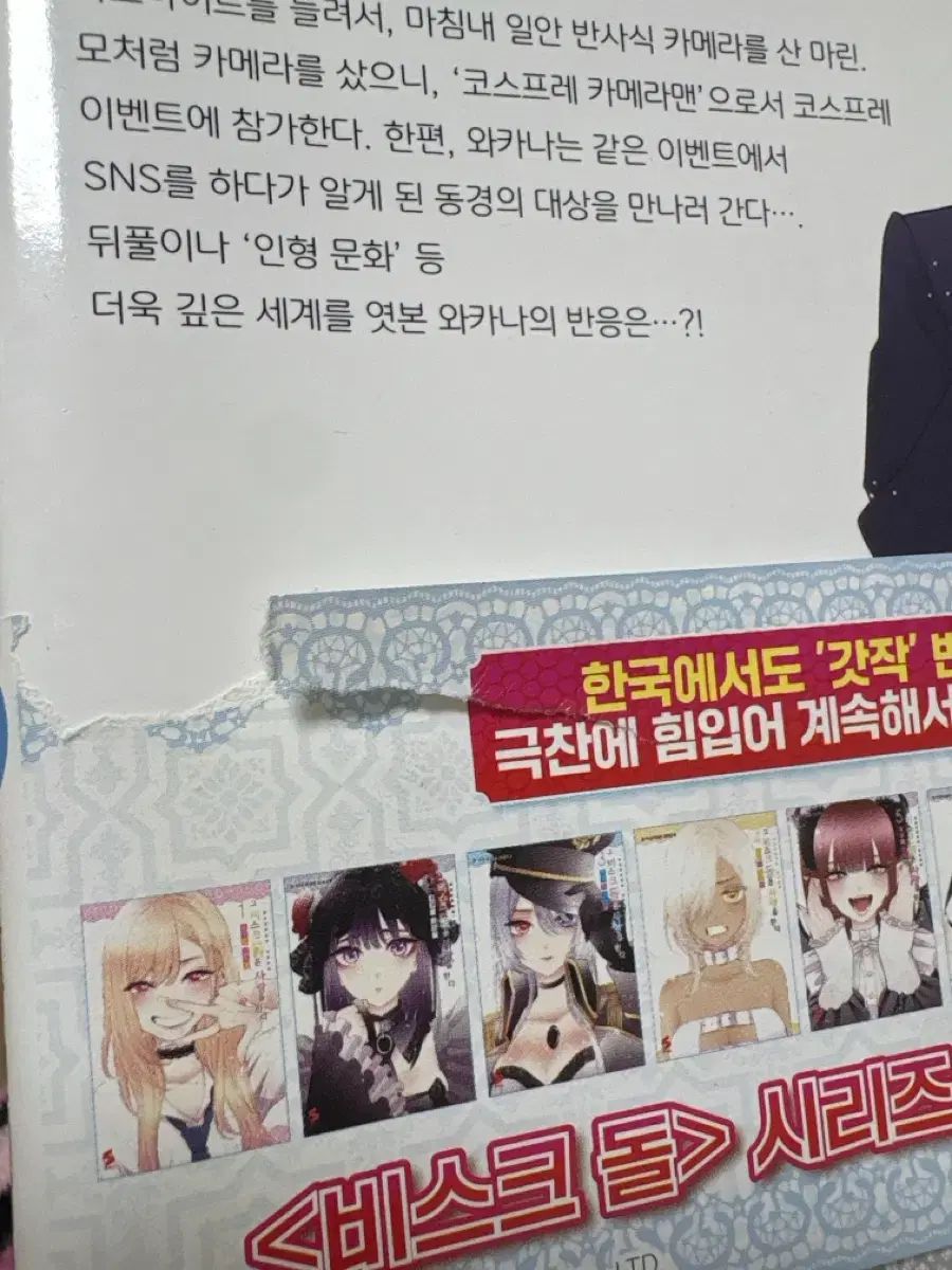 そのビスク ドールは愛をする 9 13