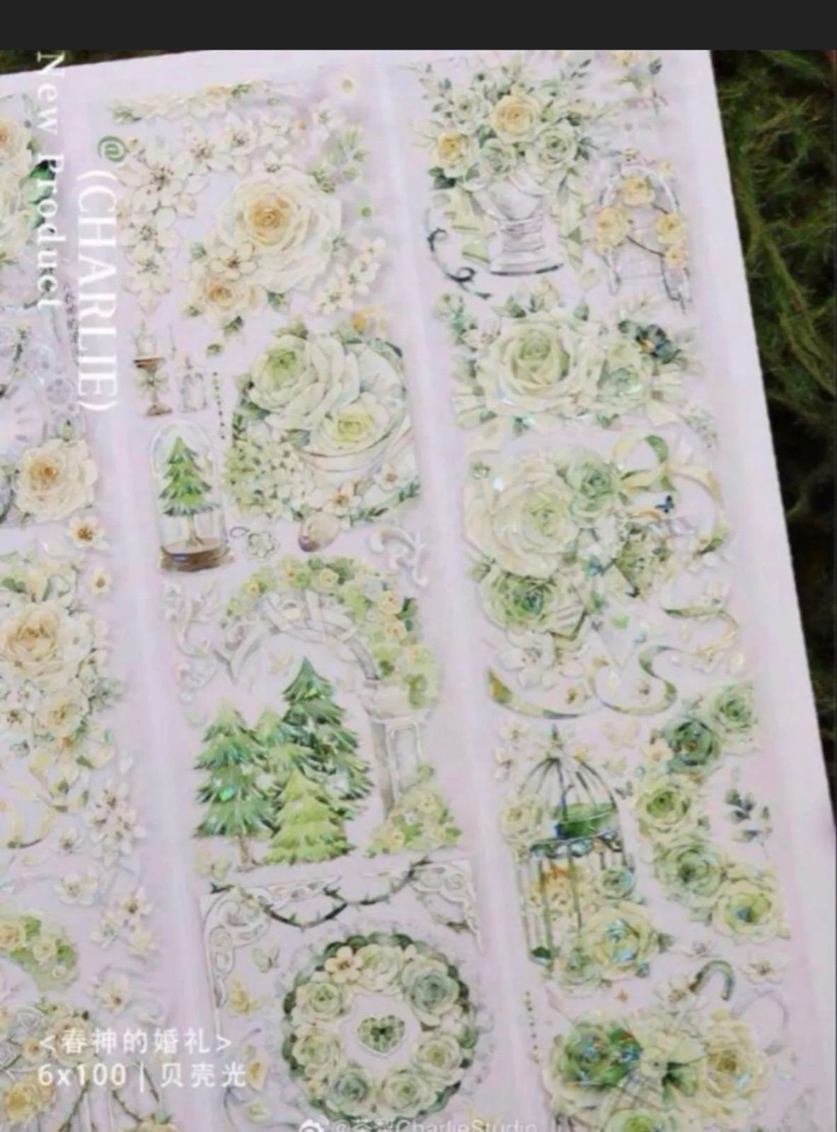 贝壳光 6 cm 10 m 春神的婚礼 海外マスキングテープ 海外マステ 庭