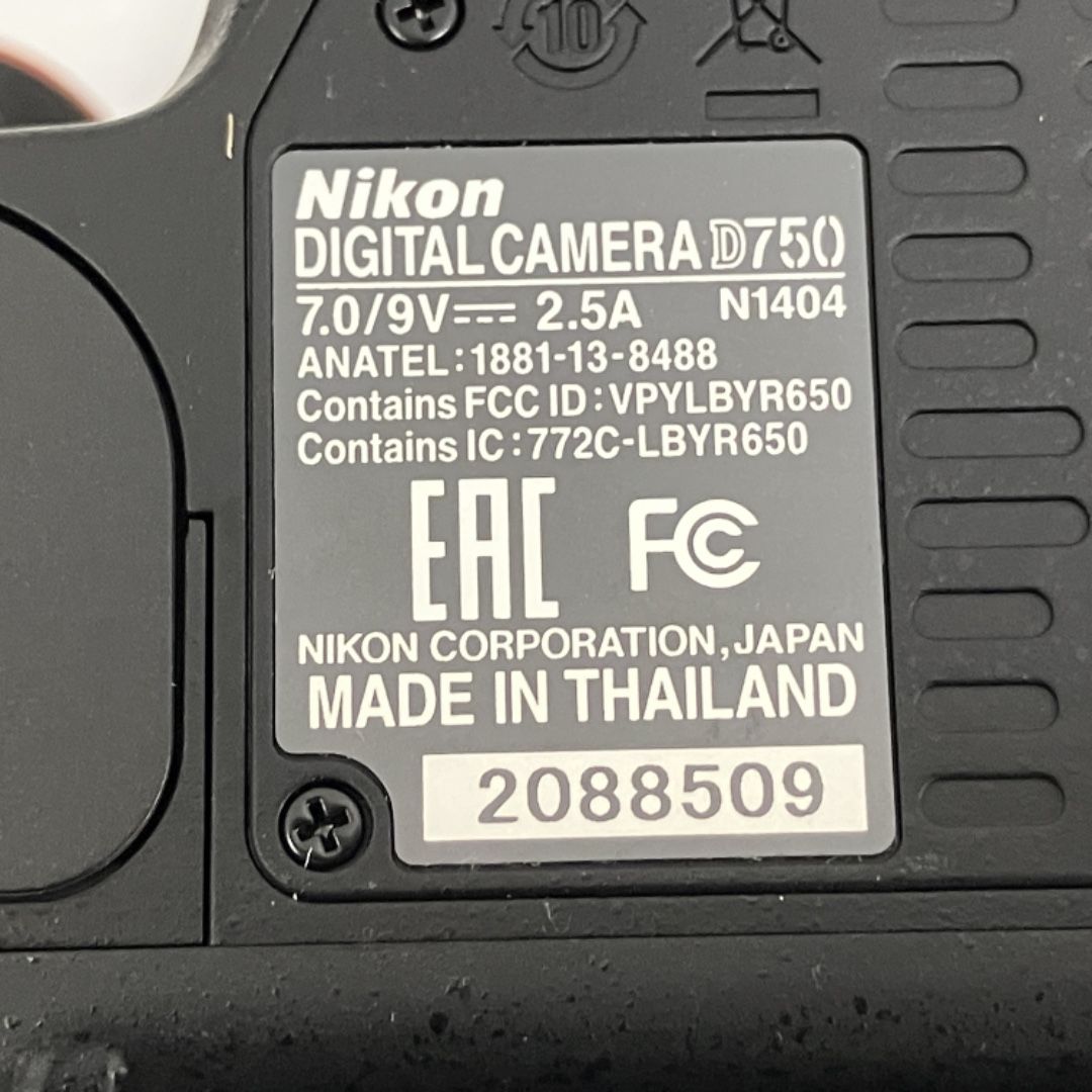 ボディ 一眼レフ