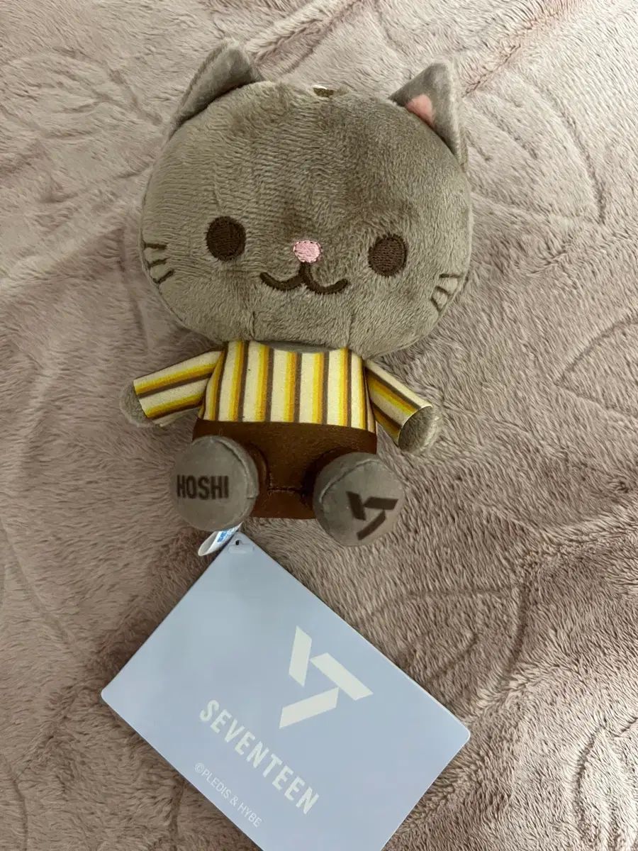 岩切秀央 ボウル 小鉢 セール中