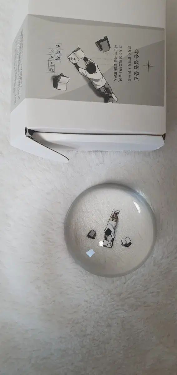 全知的な読者の視点から ムーン ジーン 小さな雪原