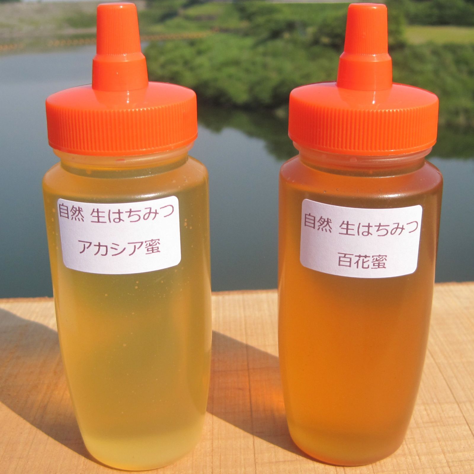 ♦️アカシア蜂蜜2本&百花蜜2本 国産 生はちみつ 非加熱ハチミツ