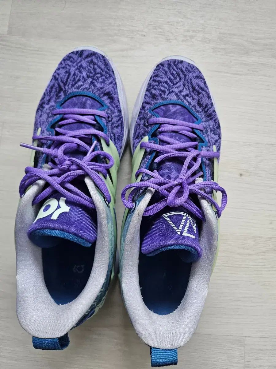 KD15 バスケシューズ 300