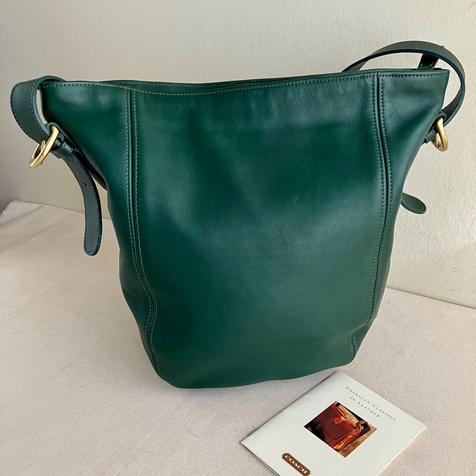 Buy Coach Pouch Bag with Signature Canvas Interior | Green Color 