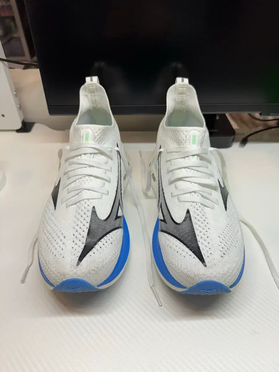 ミズノ NEO 젠 ランニングシューズ 250