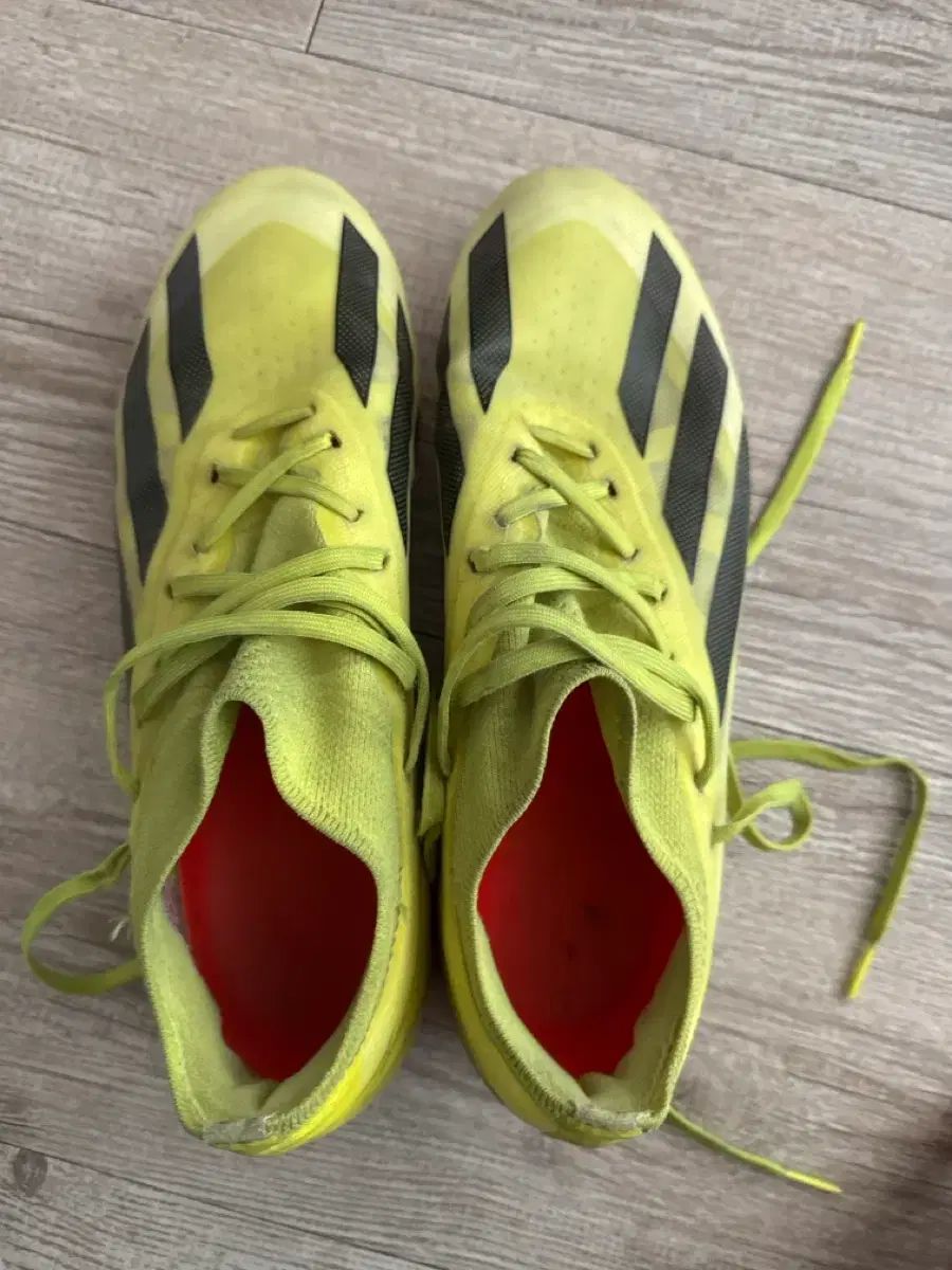 アディダス クレイジー ホットソース Ver レイ イージー