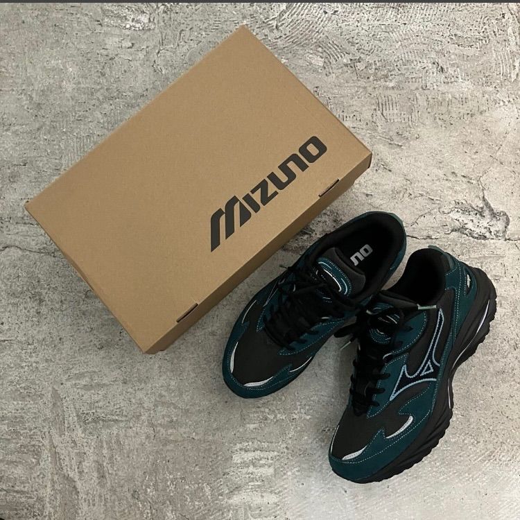 クモとサソリの標本 黒色フレーム付き