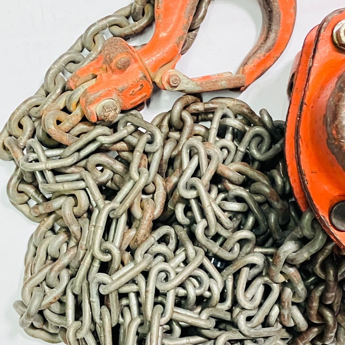 象印 エレファント