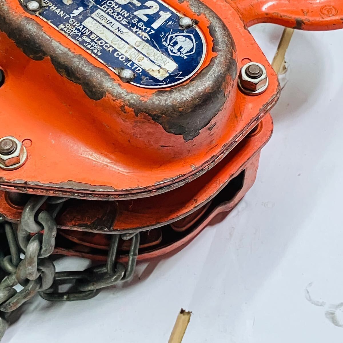 象印 エレファント