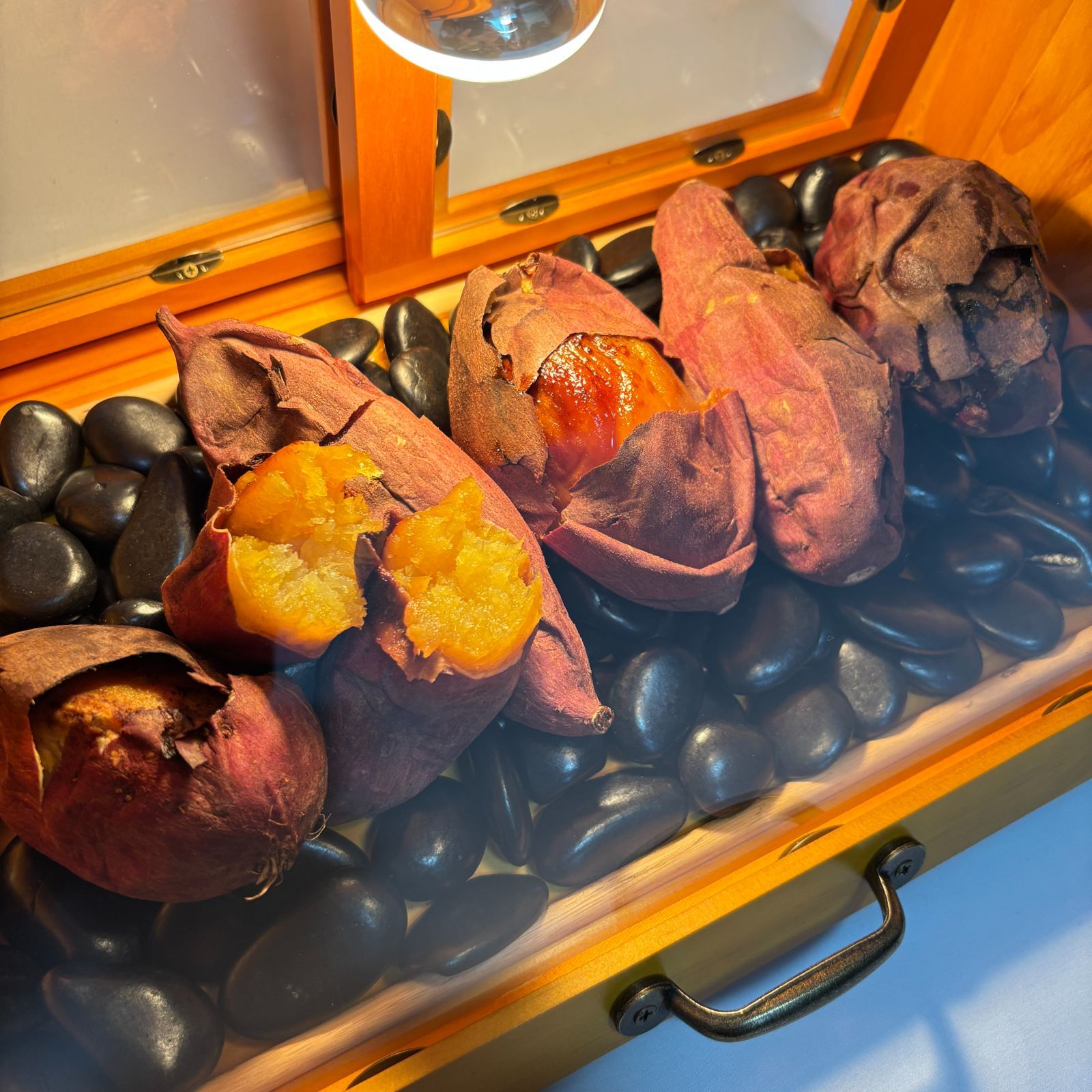 木製ホットショーケース