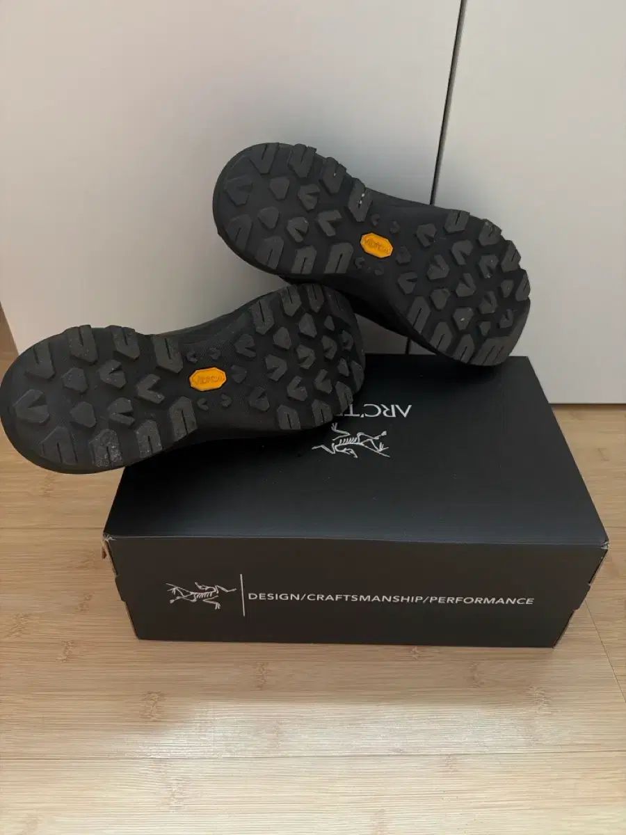 ARC TERYX アークテリクス アルパイン ブラック スニーカー 250