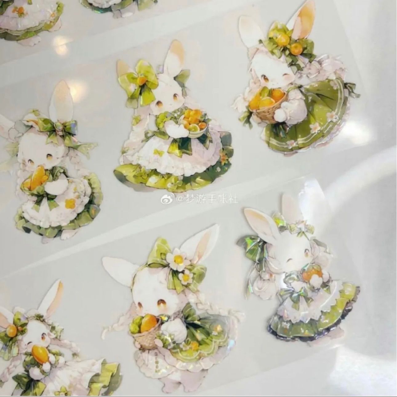 贝壳光 6 cm 10 m 胡萝卜兔兔 海外マスキングテープ 海外マステ ウサギ