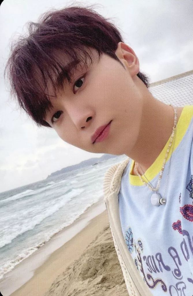 中古】コレクションカード(男性) SEVENTEEN/スングァン(SEUNGKWAN