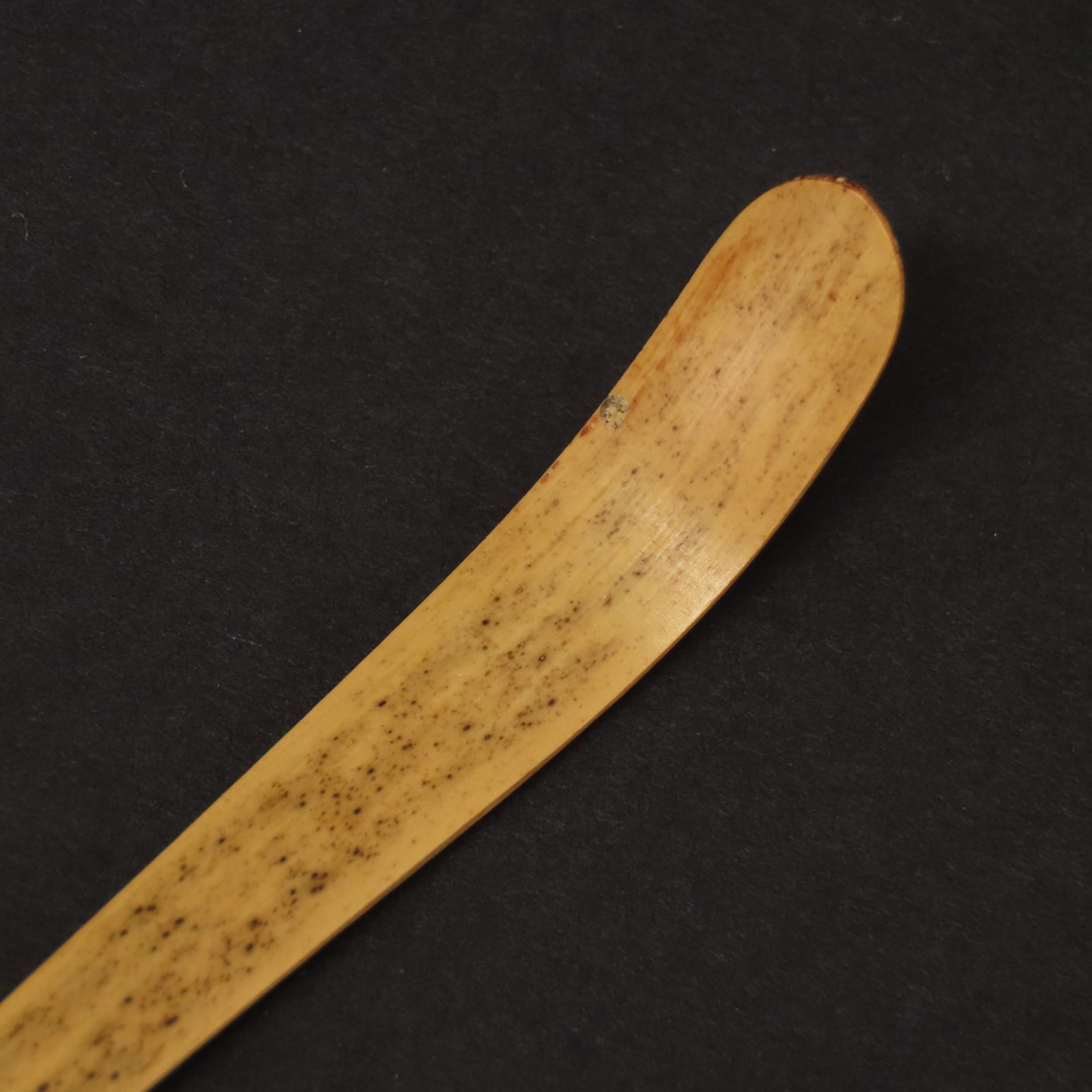 02s46 福本積應 真作保証 茶杓 影林宗篤 下削 臨済宗 大徳寺派 宝林寺