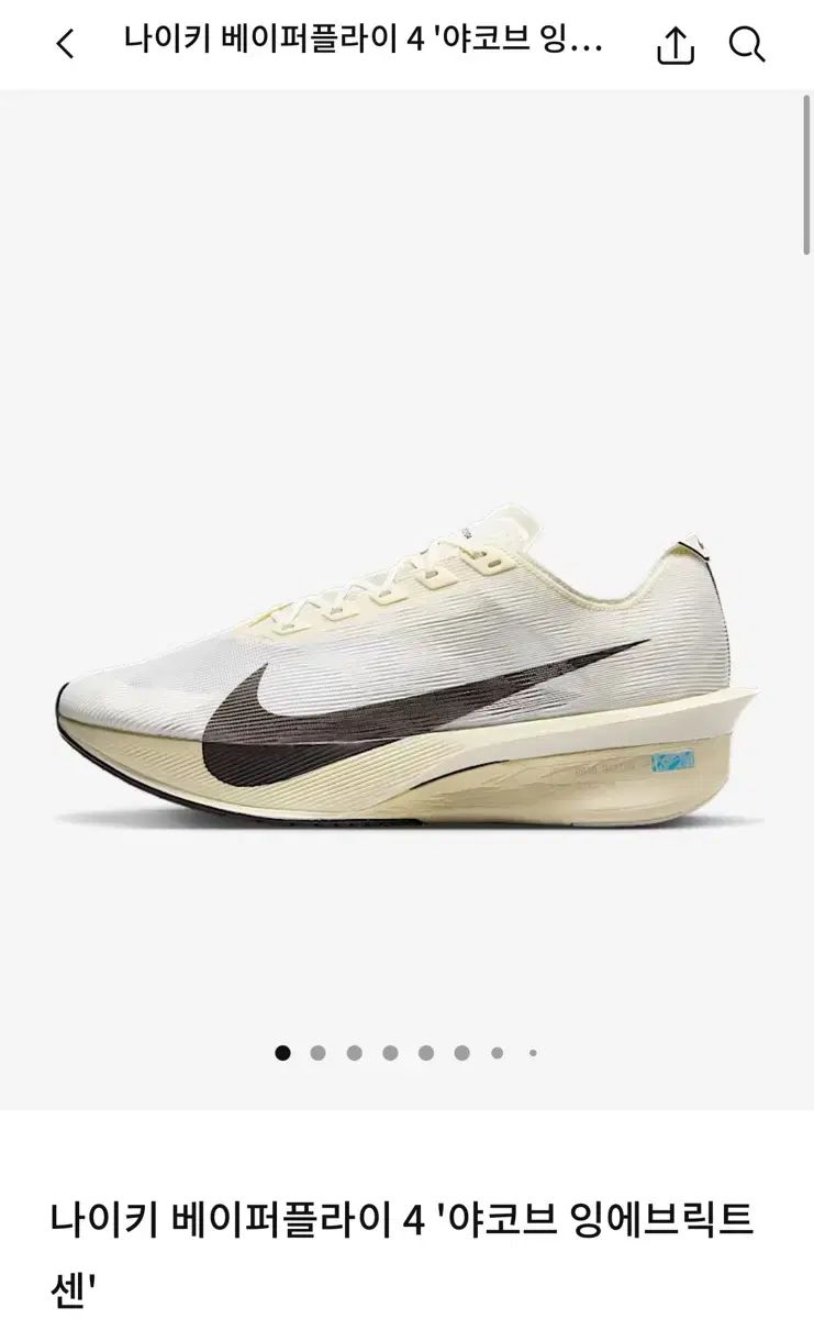 ヴェイパーフライ4 ヤコブ